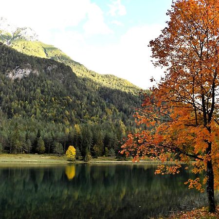 Ferienwohnung Saalbach Fieberbrunn Bagian luar foto
