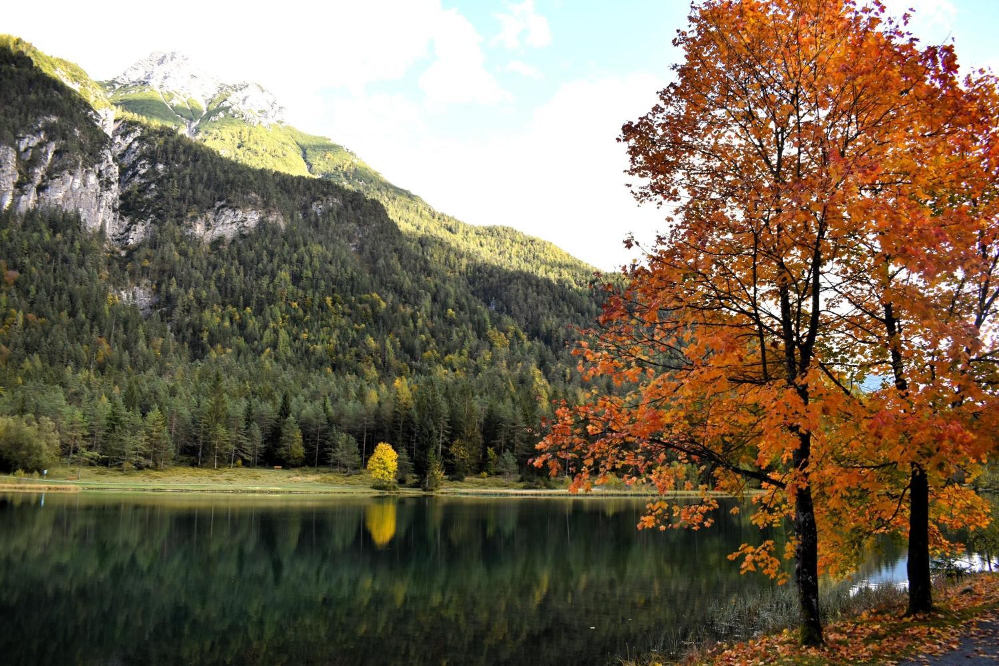 Ferienwohnung Saalbach Fieberbrunn Bagian luar foto